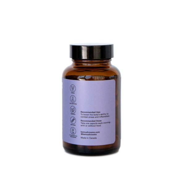 Be-Calm-Booster-Mushroom-Supplement-Capsules-Front-600x600