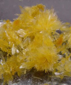 N-Dimethyltryptamine DMT crystals
