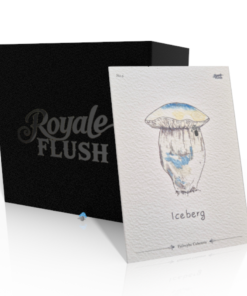 Iceberg Mushroom Grow Kit | 1200cc | Royale Flush