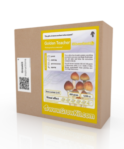 Golden Teacher Grow Kit