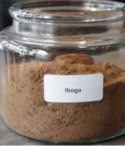 IBOGA (Ibogaine)