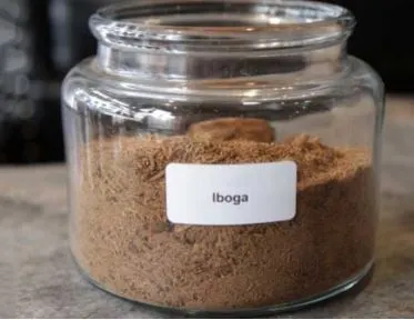 iboga