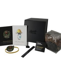 Royale Flush Golden Bluey Vuitton Grow Kit