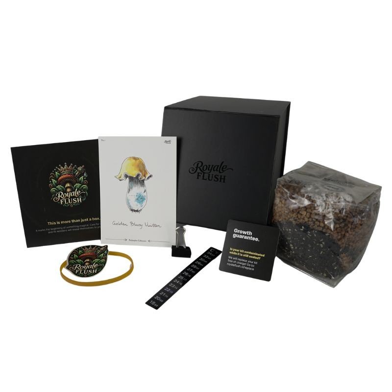 Royale Flush Golden Bluey Vuitton Grow Kit Royale Flush Golden Bluey Vuitton Grow Kit