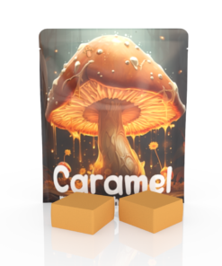 Karamell Fudge mit Muscimol