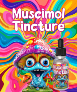 Pilz tinktur – 150 mg Muscimol